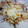 ぱぱぱぱまま's cooksnap of when they made 湘南カフェ風しらすピザ☆.