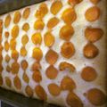 ミチケイ's cooksnap of when they made あんずのケーキ.