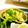 putimiko's cooksnap of when they made お弁当に…ブロッコリーの胡麻あえ。.