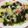 miyuki12's cooksnap of when they made **ワカメとカニカマのマヨ酢合え**.