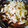 chaichaico's cooksnap of when they made セロリとささみのヘルシー炒め.