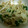 しょうがチューブ's cooksnap of when they made もやしとピーマンのカレー和え♪.