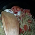 六角電波's cooksnap of when they made フレッシュトマトとカマンベールのパスタ.