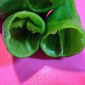 こちょぼーる's cooksnap of when they made 快感！なピーマンのヘタ・種取り.