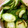 ゆめ♥'s cooksnap of when they made 材料3つ、ほっとくだけ！きゅうりの漬物.
