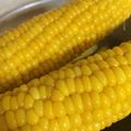 りんたろ♪'s cooksnap of when they made 〜北の大地より〜甘いトウモロコシの茹で方.