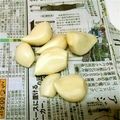イブ＆ピース's cooksnap of when they made とっても長持ち！にんにくの保存方法.
