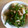 白猫同盟's cooksnap of when they made 【簡単】ジャガイモとニンニクの芽の炒め.