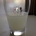 こたつねこくん's cooksnap of when they made ＊ホエーで＊蜂蜜入りジュース＊.