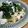 こげちゃろ's cooksnap of when they made つるむらさきのぺぺろーん♪.