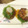リトルD's cooksnap of when they made ☆和風おろしハンバーグ.