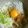 のえもゆ's cooksnap of when they made サッパリ♪梅しらす醤油うどん.