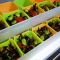 ひんべえ's cooksnap of when they made ひじきとツナのゴマ風味★パプリカ添え.