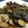 honeysegon's cooksnap of when they made ズッキーニとピーマンのくったり煮.
