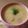 Ma＊Chan's cooksnap of when they made 寒い日には!!かぼちゃのシチュー.
