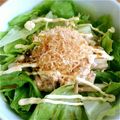 Vanillatan's cooksnap of when they made ガ●トのSalad Udon...♪.