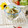 ＊waawaa＊'s cooksnap of when they made 茹で鶏とゴーヤのわさびマヨ和え.