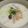 しゃんはるる's cooksnap of when they made くったりキャベツのミルクスープ.