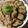 きら偽子's cooksnap of when they made ナスと豚肉のサッパリ☆南蛮漬け.