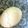 ともかずみみ's cooksnap of when they made 簡単に剥けるゆで卵.