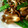 kumikko♪'s cooksnap of when they made しいたけtoきぬさや炒め.