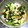 ＊なぁ＊'s cooksnap of when they made きゅうりとちくわの酢みそ和え.
