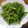 りちとまぴょ's cooksnap of when they made モロッコインゲンの生姜醤油炒め.