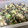 shion's cooksnap of when they made ひじきとオクラのサラダ.