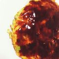 mao＊．'s cooksnap of when they made ☆キャベツの玉子焼き♪お好み焼き風☆.