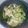 シビリキン's cooksnap of when they made きゅうりとキャベツのにんにく中華風漬物.