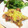 ykrykr's cooksnap of when they made 【簡単焼くだけ】鴨肉と二種の葱ソース添え.