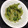 ぷぅしゅけ's cooksnap of when they made ***セロリ★中華風漬物***.