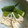のかぜ's cooksnap of when they made オクラとえのきのピリ辛漬け.