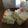 kitchenＫ's cooksnap of when they made 夏◎枝豆ゴーヤのアボカドレモンサンド.