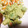 ＹＵＰＯＰＯ's cooksnap of when they made ●◎●アボガドとエビの定番サラダ●◎●.