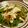 nyanconya's cooksnap of when they made 小葱と茗荷とささ身の塩サラダ.