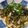 ポンポコあぽろ's cooksnap of when they made 明太しめじマヨうどん.