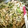 め→ぐ♪'s cooksnap of when they made 豚ともやしとニラのオイスターソース炒め.