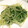 むー's cooksnap of when they made 水菜のササッと中華炒め.