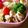 どれみ０８'s cooksnap of when they made お弁当に。さっぱり豚肉の生姜焼き.