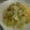*四葉*'s cooksnap of when they made キャベツとツナのパスタ★.