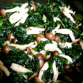 ぽぴぽぴ's cooksnap of when they made ほうれん草とシメジのおひたし.