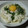 ひめのママン's cooksnap of when they made ☆簡単☆しらすと長いも冷やしうどん.