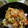 Maena's cooksnap of when they made たことそら豆の香りかき揚げ.