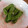 i_yokan's cooksnap of when they made あっという間に完成☆シシトウの麺つゆ漬け.