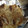 のぶよっしー's cooksnap of when they made 超簡単!!しいらのマヨゴマ焼き.