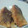 Junichilow's cooksnap of when they made 生臭くない鮭のムニエル.