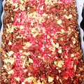 鳥頭30's cooksnap of when they made ナッツたっぷりのチョコグラノーラ.