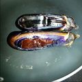 まいひろ's cooksnap of when they made フライパンで簡単!!焼きナス.