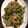 komorin＆y's cooksnap of when they made 豚肉のニラもやし炒め☆.